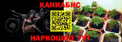 стаф Коммунар