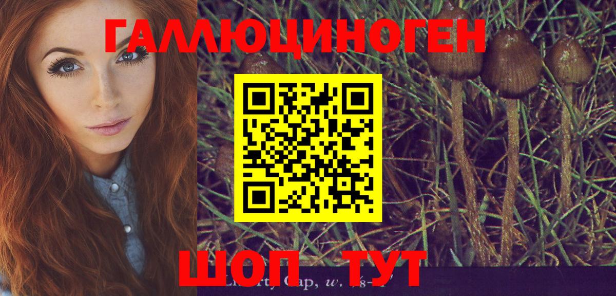 Галлюциногенные грибы Psilocybine cubensis  купить наркотики цена  Ковров  Вход с VPN 