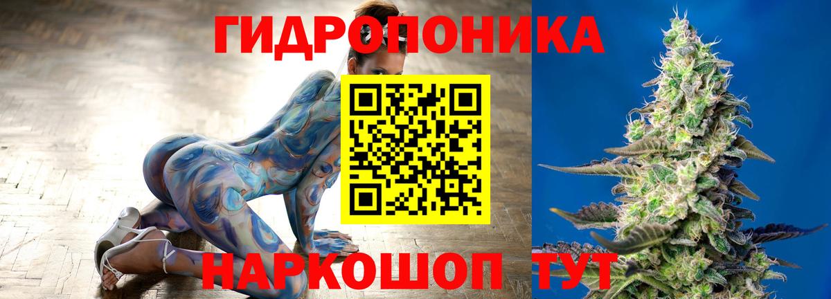 МАРИХУАНА Bruce Banner  Вход с VPN  Ковров  Бошки марихуана индика 